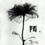 小陌博客-打造      优质的互联网资源,技术分享综合平台