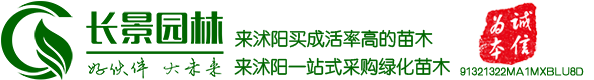 沭阳县长景园林