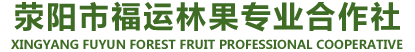 软籽石榴树苗